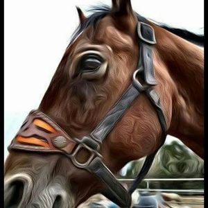 Meet your Posher, Sheri