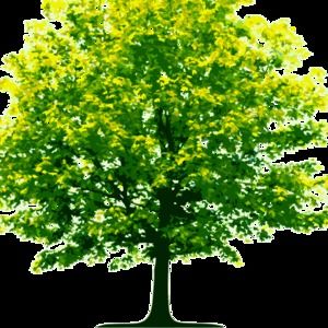 Meet your Posher, Kara