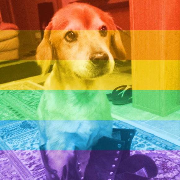 Meet your Posher, Nina - Picture 1 of 1