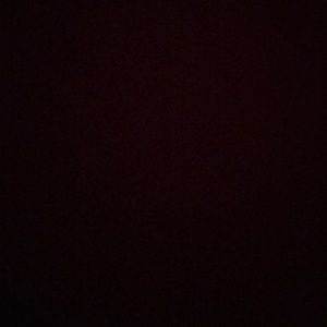 Meet your Posher, Abbie