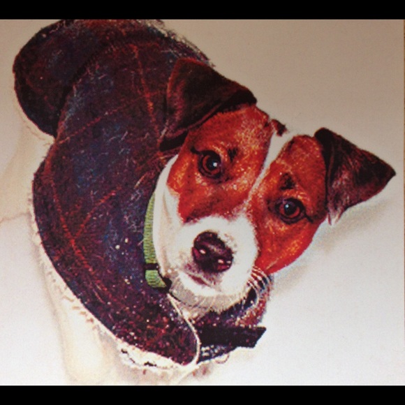 Meet your Posher, Lisa - Picture 5 of 8