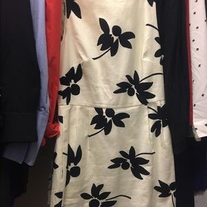 J Crew Dress size 6