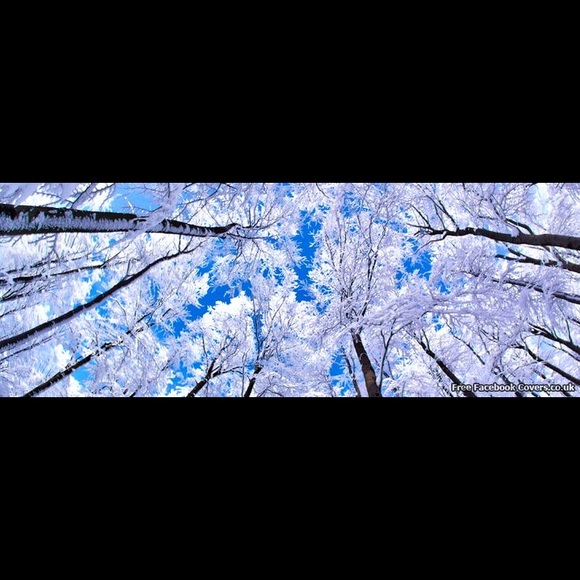 Meet your Posher, Cami - Picture 1 of 1