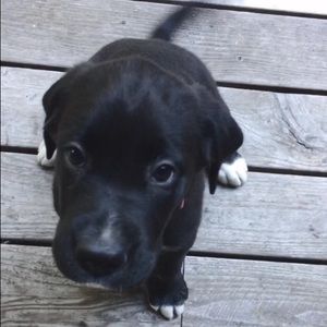 Meet your Posher, Tori