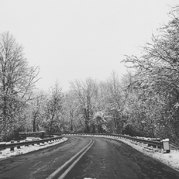 Meet your Posher, Jaime - Picture 1 of 1