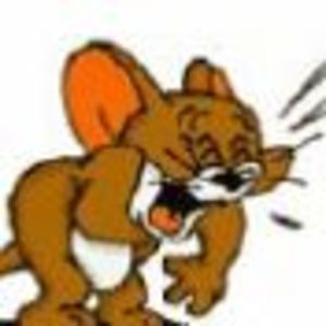 Meet your Posher, Tracey