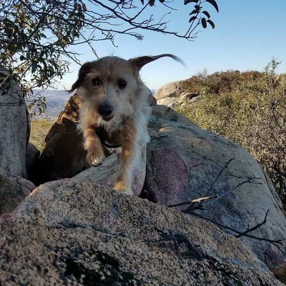 Meet your Posher, Angie - Picture 1 of 1