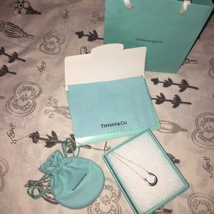 Sterling Silver Tiffany & Co. Horseshoe Necklace