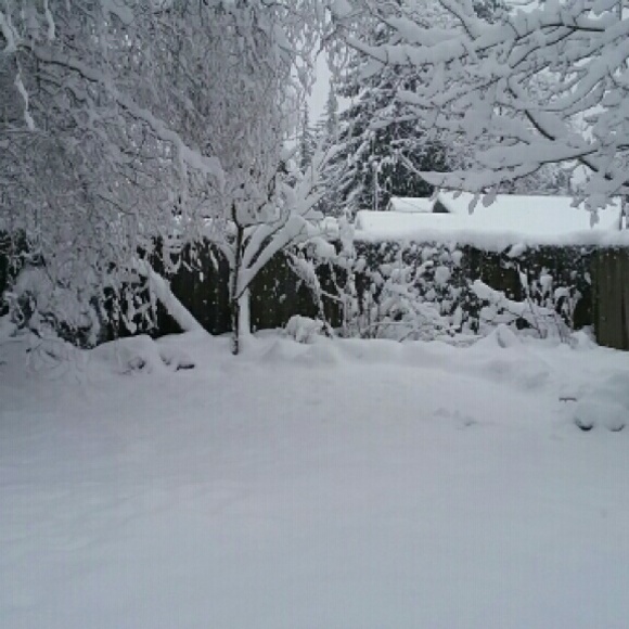 Meet your Posher, Lucy