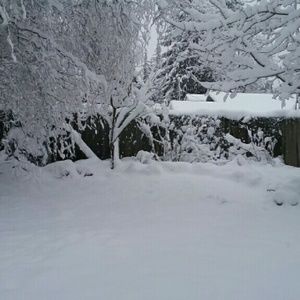 Meet your Posher, Lucy