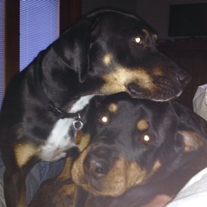 Meet your Posher, Jill