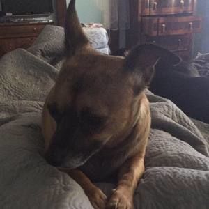 Meet your Posher, Olivia