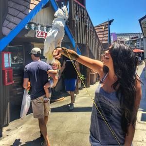 Meet your Posher, Alexandra rachelle