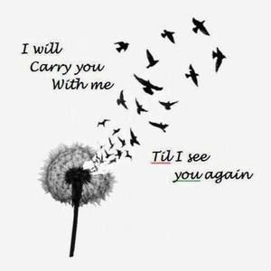 Meet your Posher, Cherrie