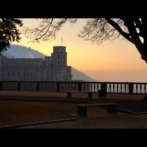 Meet your Posher, Rosey