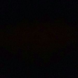 Meet your Posher, Savannah