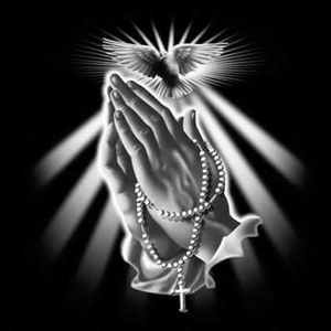 Meet your Posher, Rose