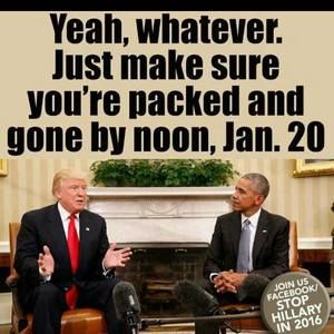 Meet your Posher, Michelle