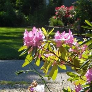 Meet your Posher, Deborah