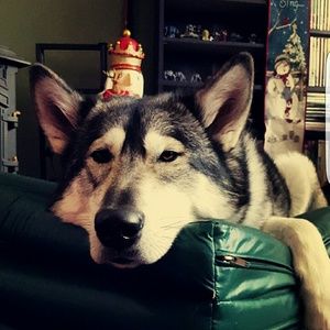 Meet your Posher, Bryce