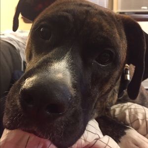 Meet your Posher, Shane