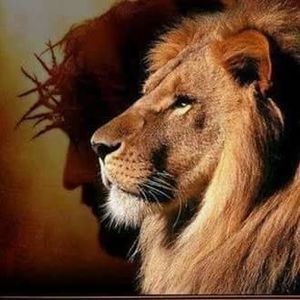 Meet your Posher, Miranda