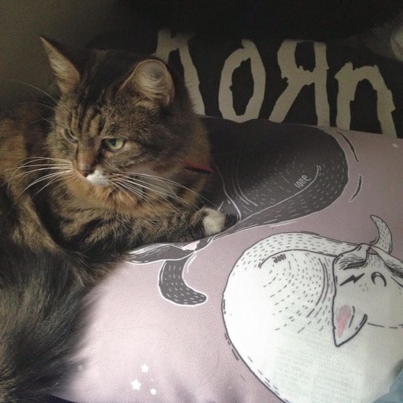 Meet your buyer & seller, Brittini! - Picture 5 of 8