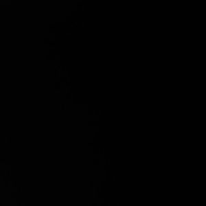 Meet your Posher, Alisha