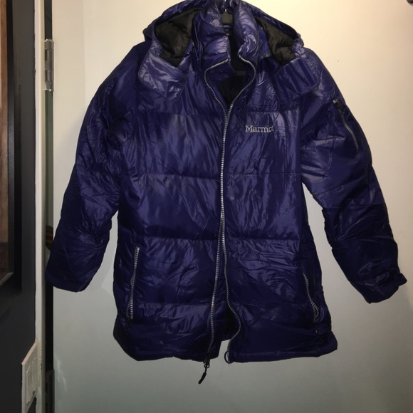 Marmot puffer