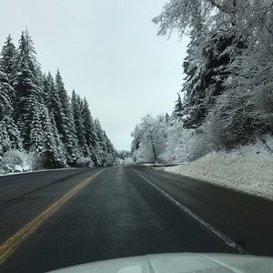 Meet your Posher, Fernanda