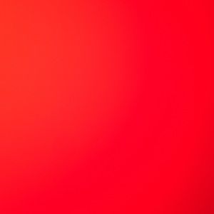 Meet your Posher, Trevor