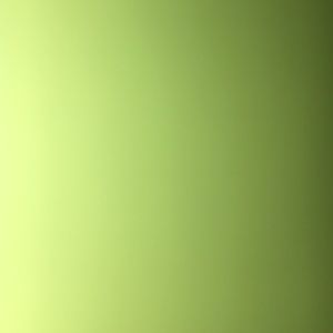 Meet your Posher, Janson