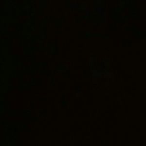 Meet your Posher, Dante