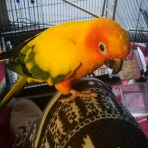 Meet your Posher, Jenny