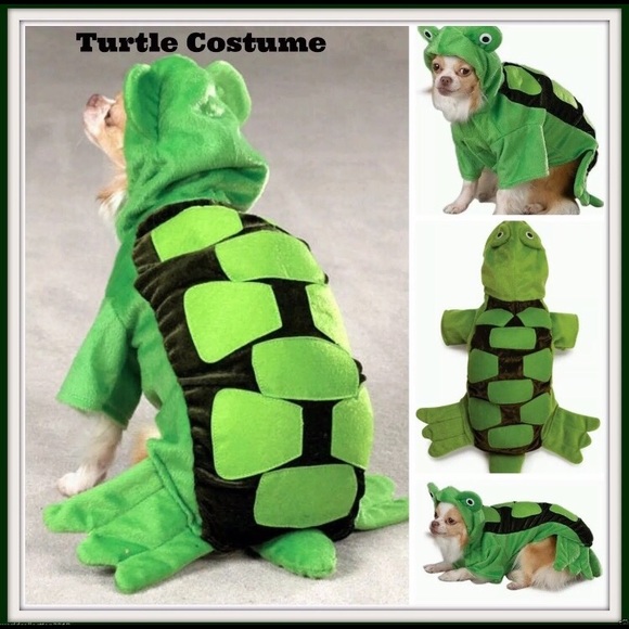 ❤️ Size Large Turtle Dog Costume! New in Package - Picture 3 of 7
