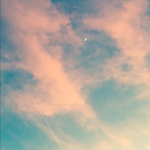 Meet your Posher, Ashlyn