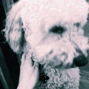 Meet your Posher, Claire