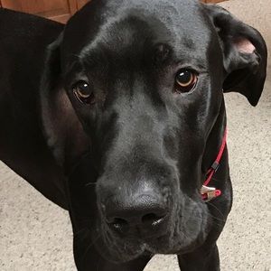 Meet your Posher, Logan