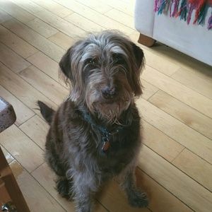 Meet your Posher, Kendall