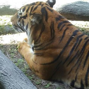 Meet your Posher, Shawntina