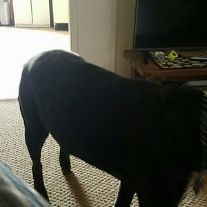 Meet your Posher, Kathy