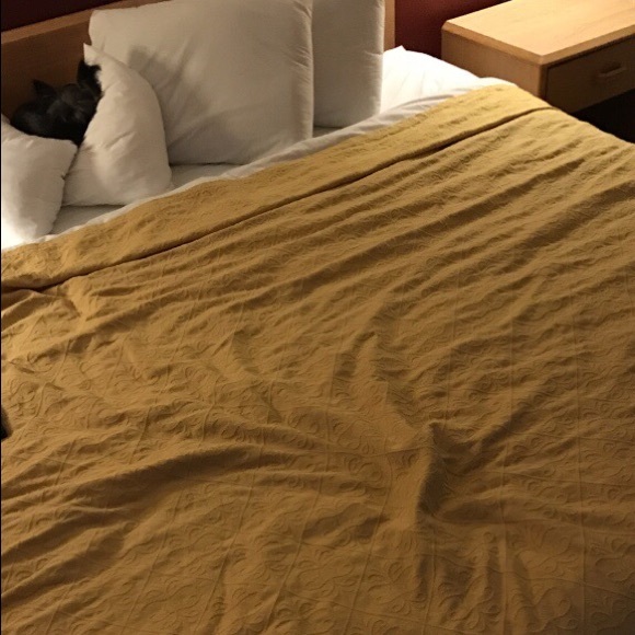 Queen mattress (3mon old) cover boxspring bedframe - Picture 3 of 3