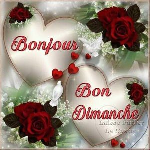 Meet your Posher, Siliana