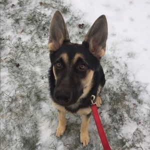 Meet your Posher, Olivia