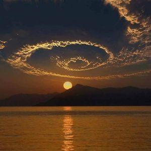 Meet your Posher, Sandy