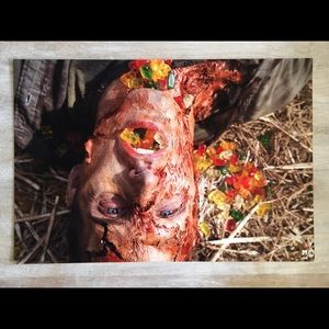 Limited edition signed photo shot by Norman Reedus