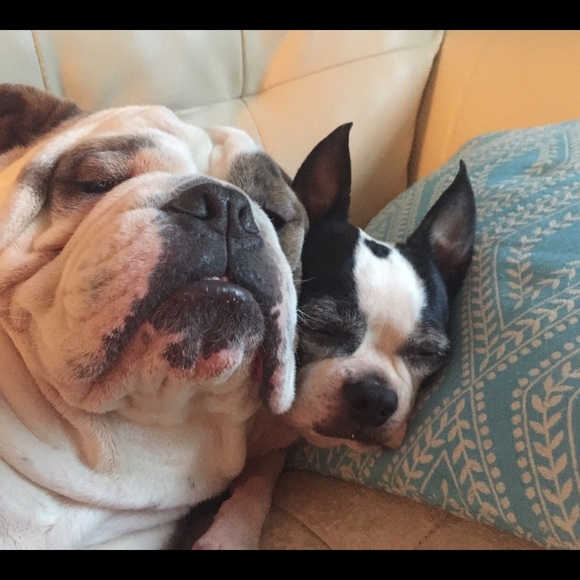 Meet your Posher, Erin - Picture 2 of 3