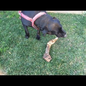 Meet your Posher, Evan