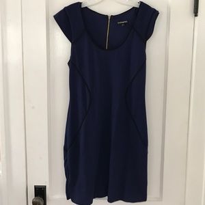 Express Navy/Black piped dress