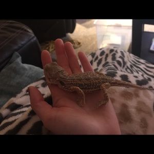 Meet your Posher, Breanna